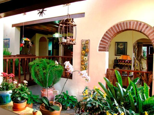 Bed and Breakfast Hacienda El Pinar Del Viento Вілья-де-Лейва Екстер'єр фото